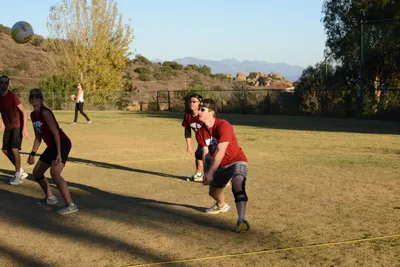 DSC_5254 (Large).JPG